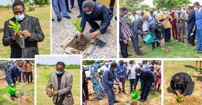 Apostle Kumi-Larbi Urges Ministers To Plant & Nurture More Trees