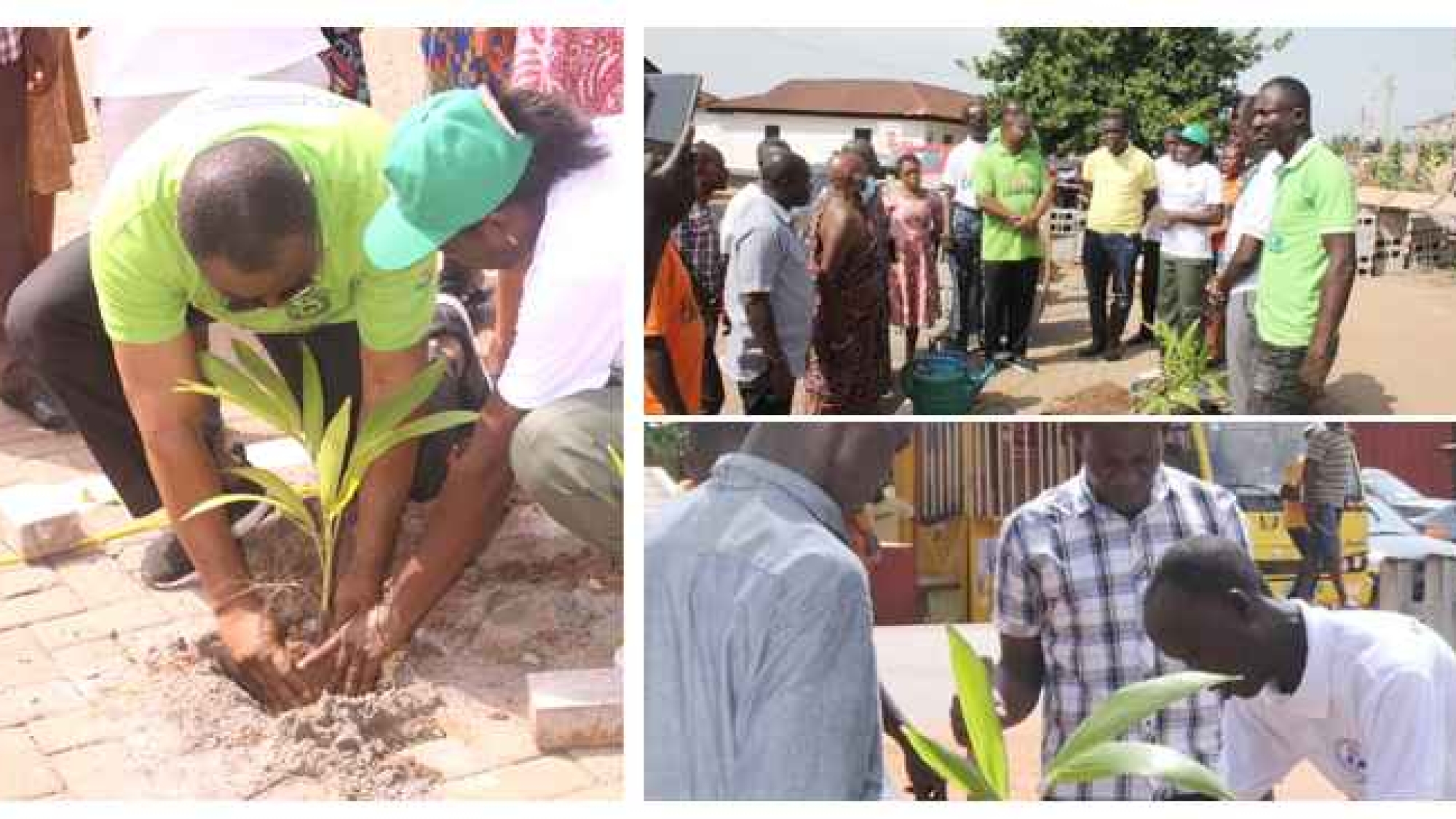 ‘Green Ghana Project’ Kick-Starts In Agormanya Area