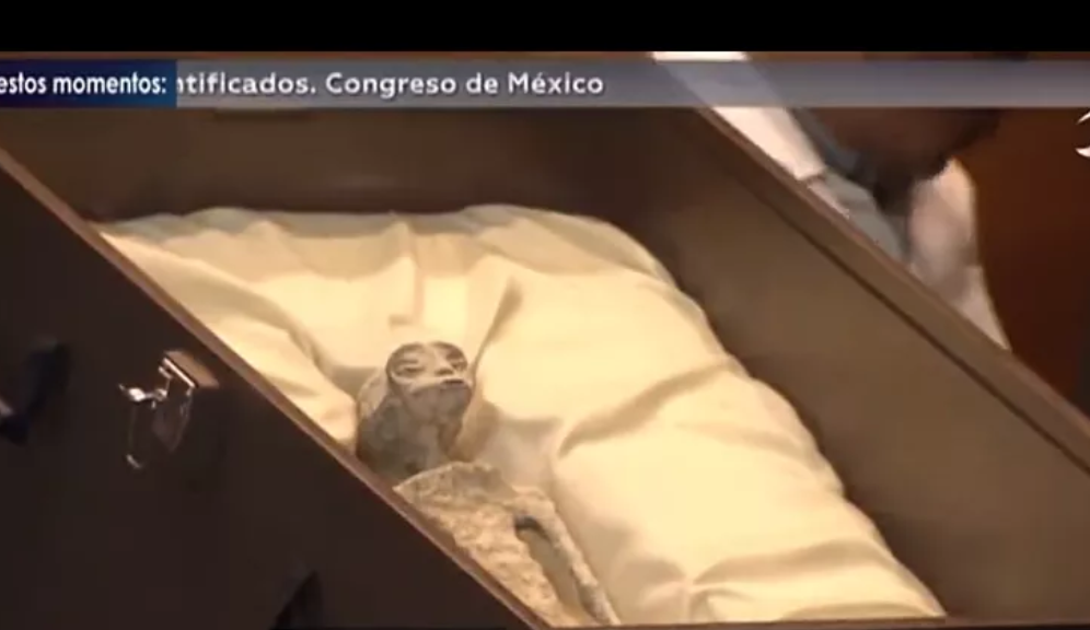 Fossils of ‘alien’ corpses displayed in Mexico’s Congress as UFO expert testifies
